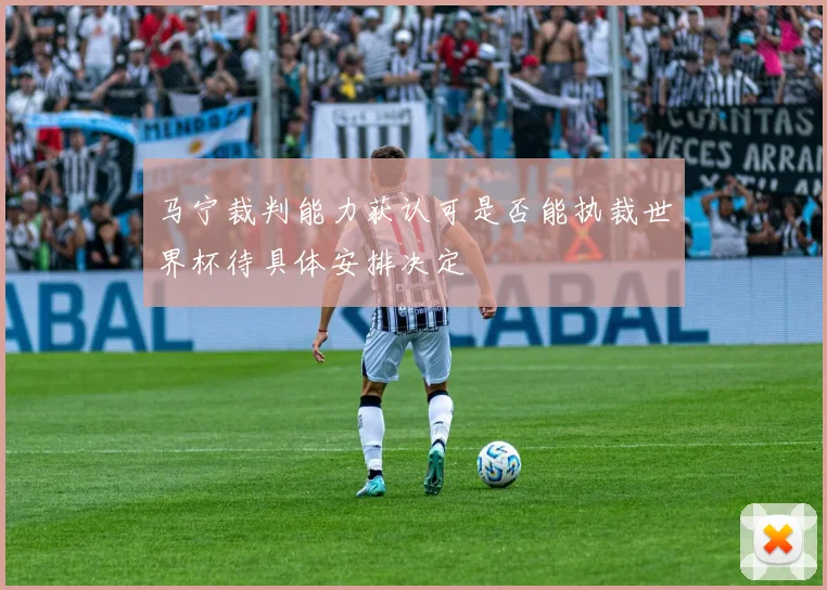 马宁裁判能力获认可是否能执裁世界杯待具体安排决定