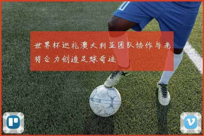 世界杯巡礼澳大利亚团队协作与老将合力创造足球奇迹