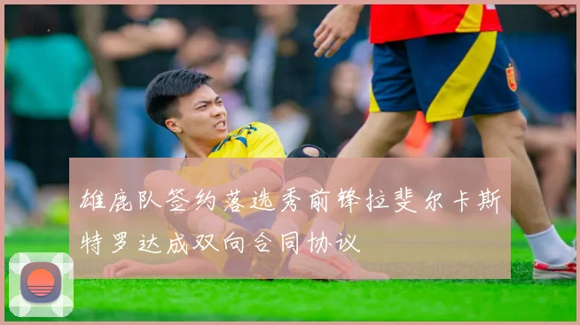 雄鹿队签约落选秀前锋拉斐尔卡斯特罗达成双向合同协议